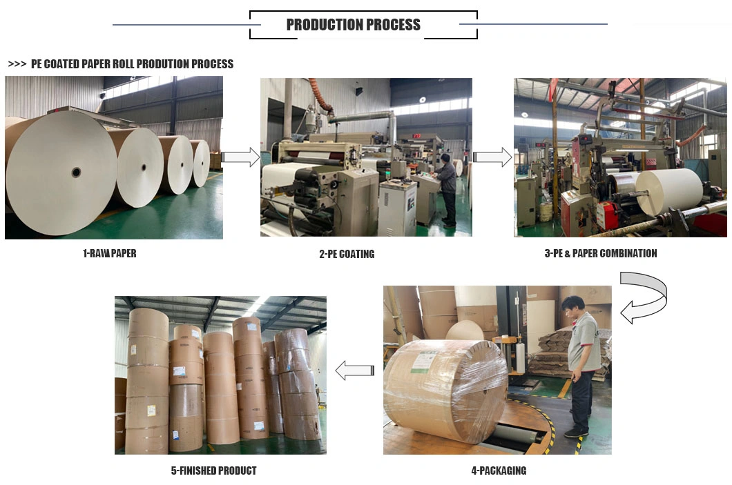 Factory Direct Best Sale Kraft Paper in Roll PE Coated Brown Paper