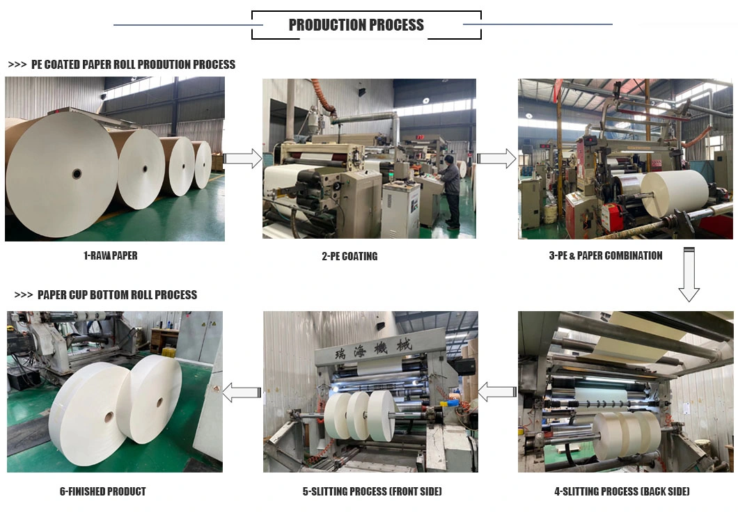 Paper Cup Bottom Roll for Disposable Paper Cups Manufacturer in China