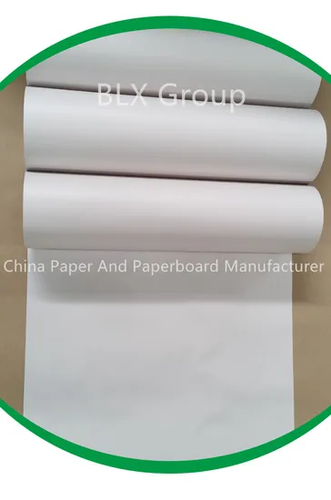 High Quality Customized White Woodfree CAD Plotter Drawing Paper 100% Virgin Pulp 