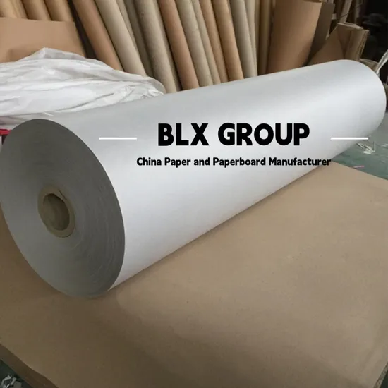 Good Price 60 GSM CAD Plotter Paper in Garment Machine 