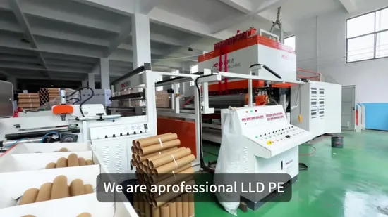 LDPE Pre Shrink Stretch Wrapping PVC PE BOPP Protective Plastic Transparent Film 