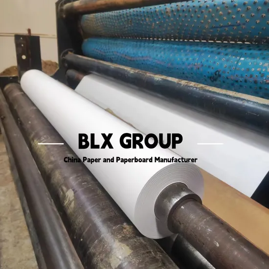 White CAD Plotter Paper for Garment Cutting System 